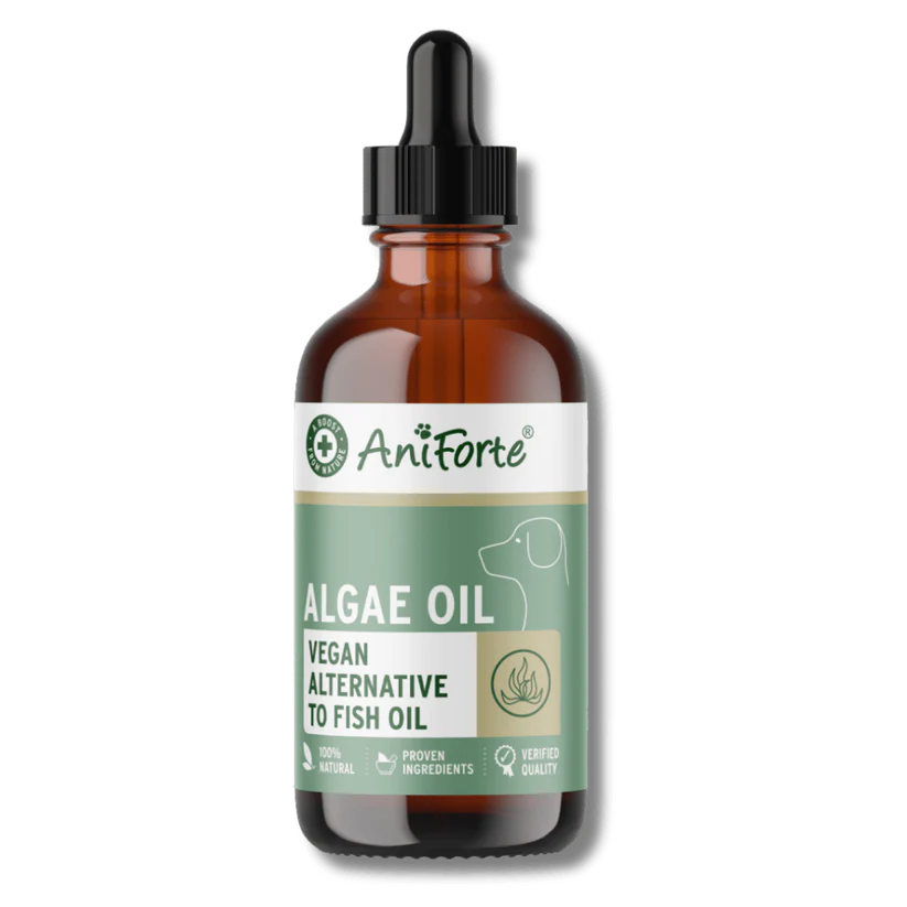 Antiforte Algae Oil 50ml