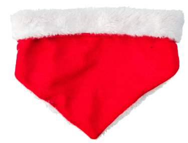 House of Paws Christmas Santa Bandana for Dogs