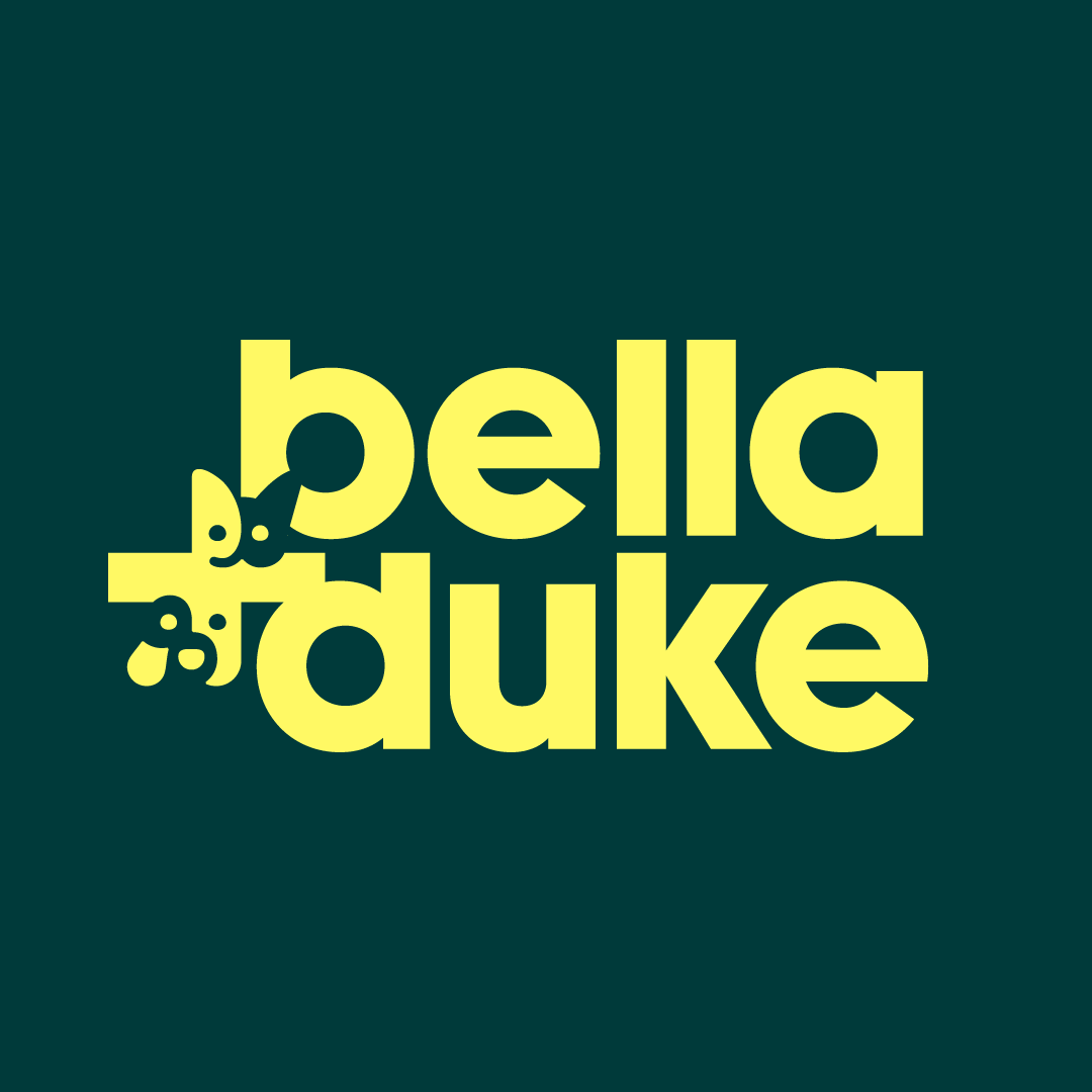 Bella + Duke Cat Turkey & Salmon 250g