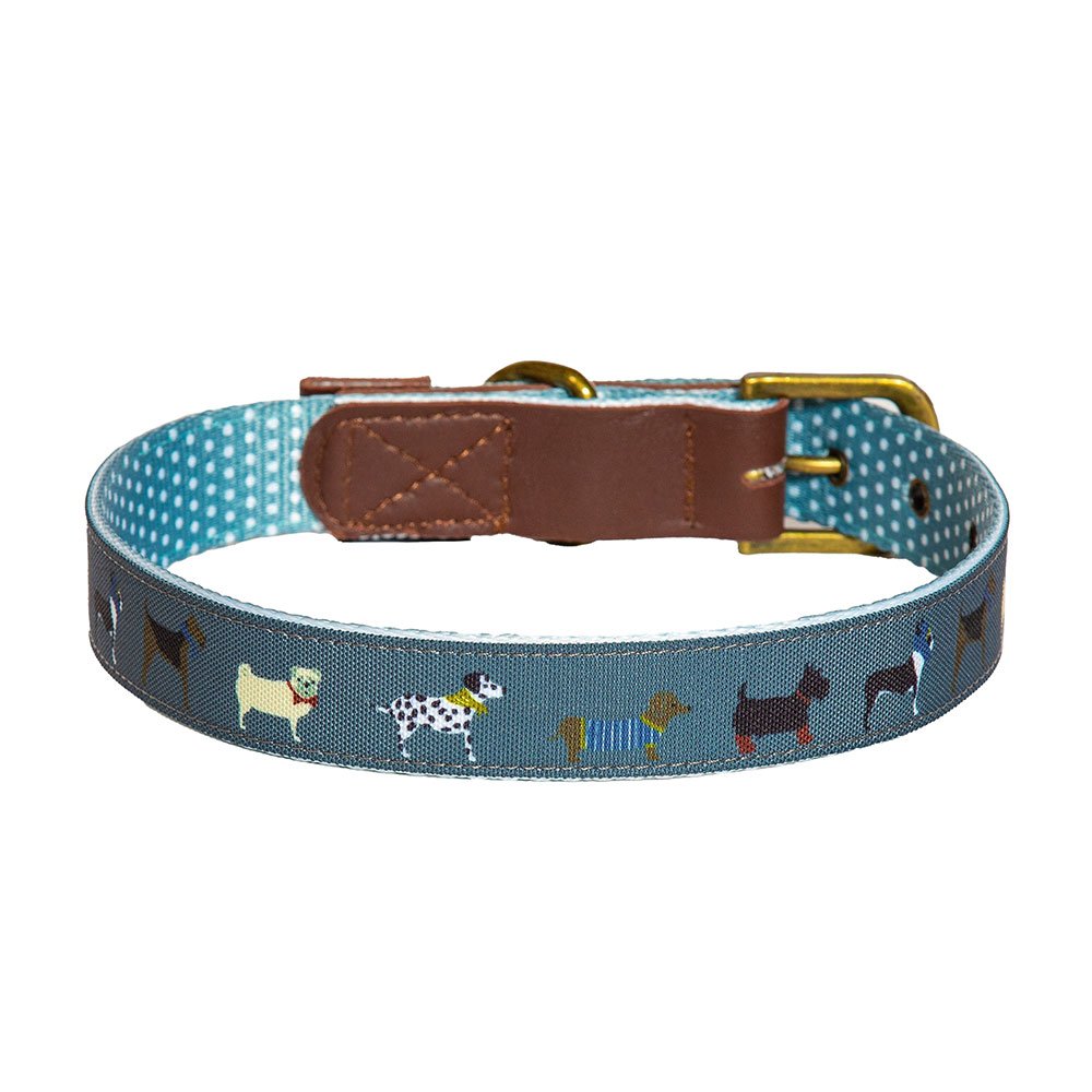 Fatface Marching Dog Collar