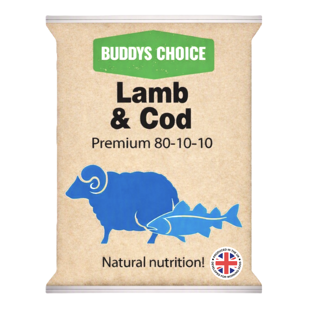 Albion Buddy's Choice Lamb & Cod 454g