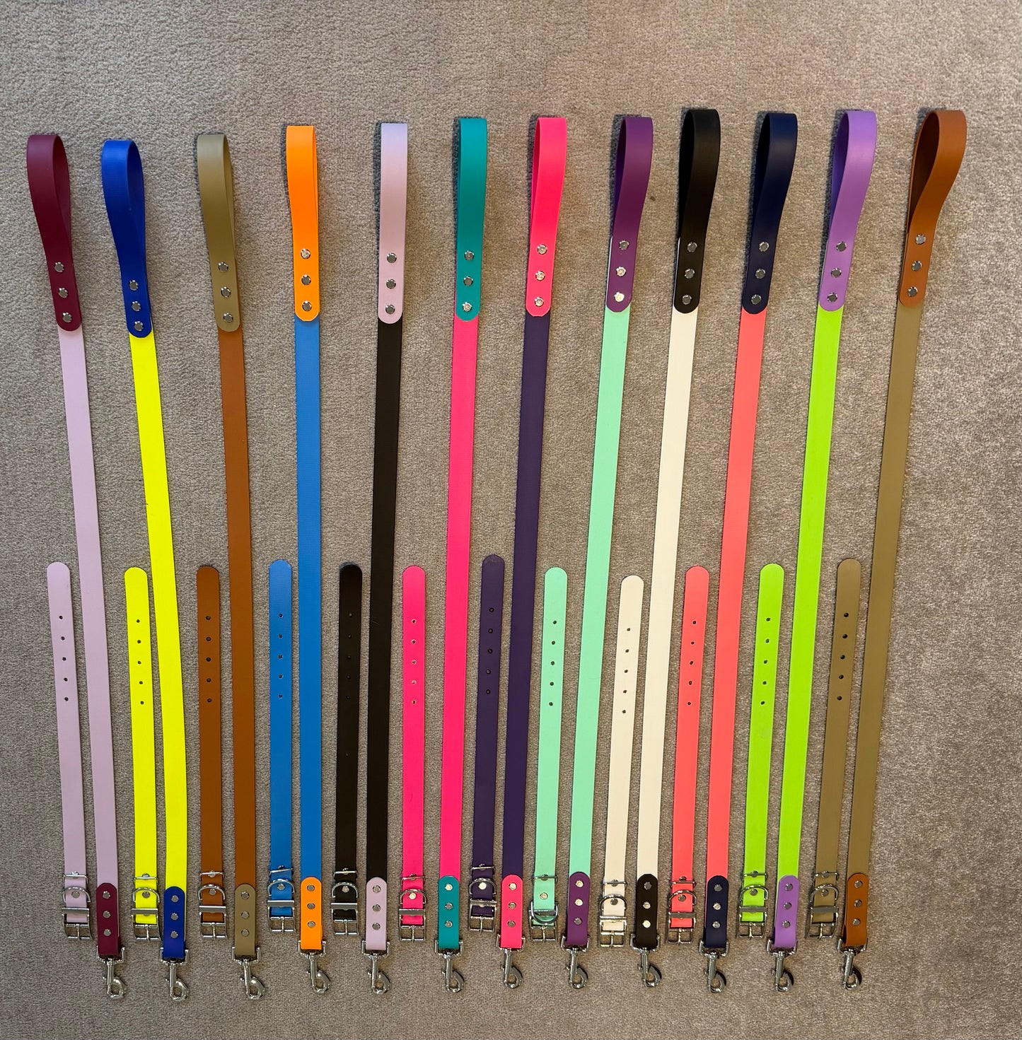Leashed Biothane Leads and Collars