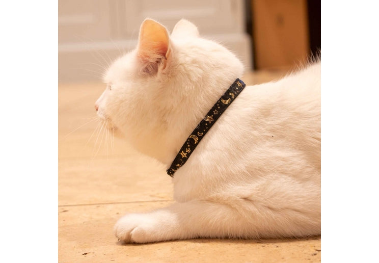 Star and Moon Cat Collar