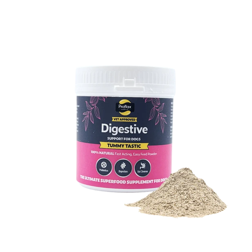 Proflax Pre & Probiotics Tummy Tastic 125g