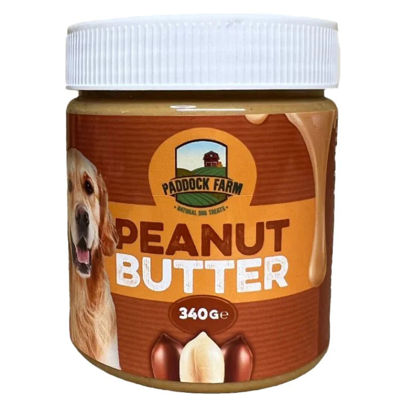 Peanut Butter For Dogs