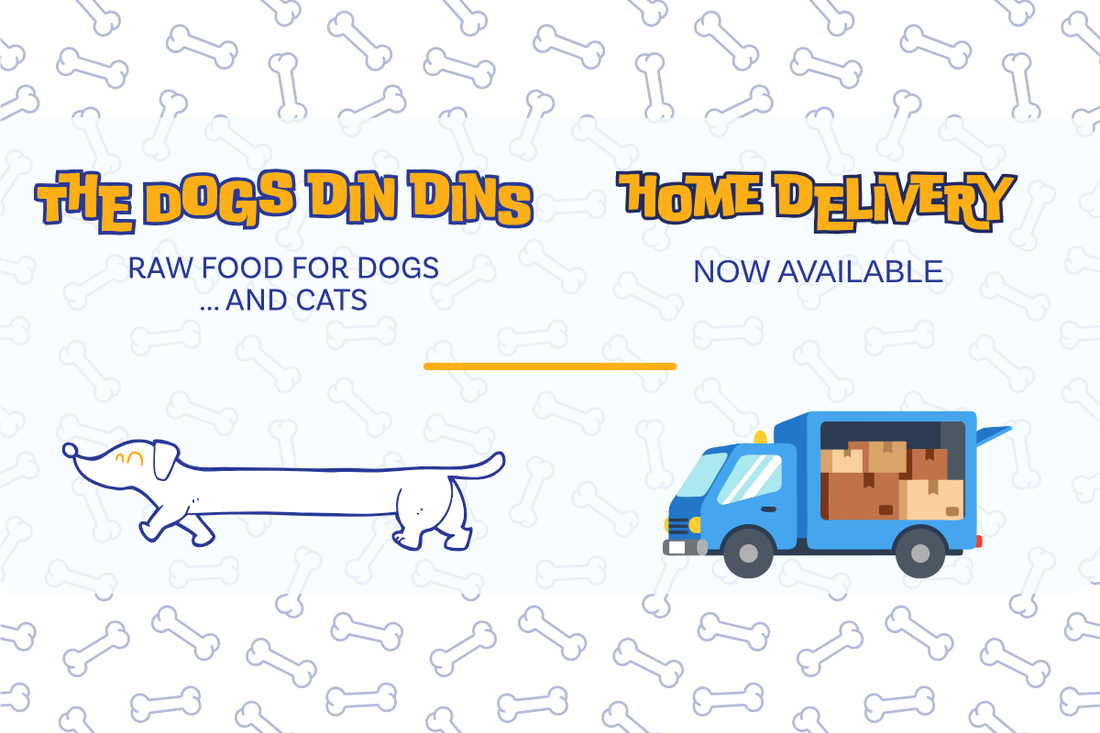 Home delivery now available at The Dogs Din Dins. Raw food and natural treats for dogs and cats delivered to your door