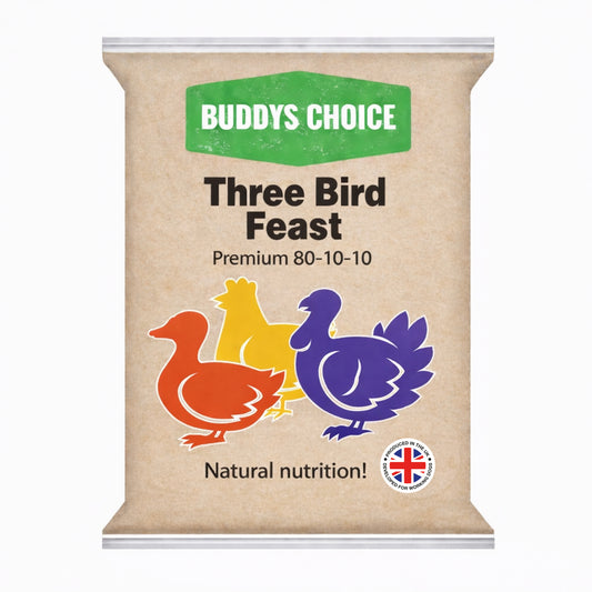 Albion Buddy's Choice Three Bird Feast 80/10/10 454g