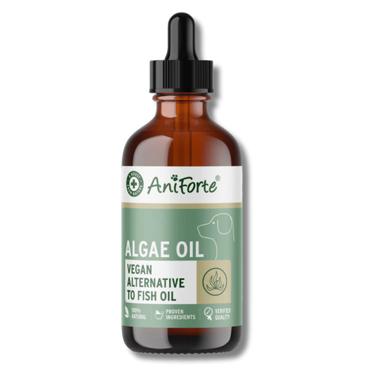 Antiforte Algae Oil 50ml