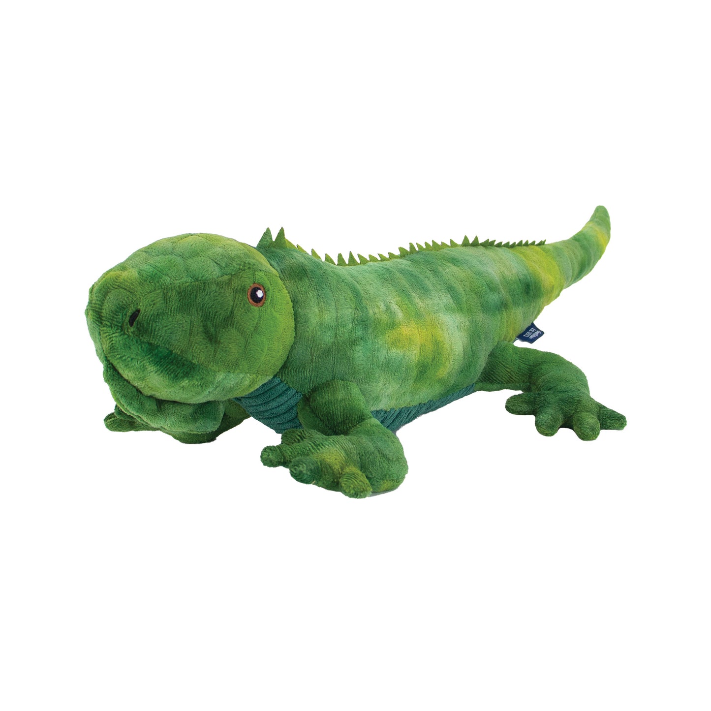 Cuddle Lizzard