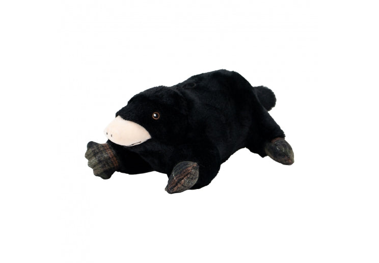 Montgomery Mole
