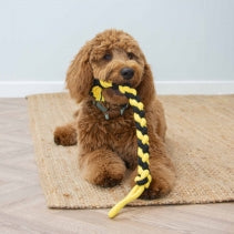Bumble Bee Ropey Twist Toy