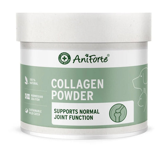 Antiforte Collagen Powder 250g