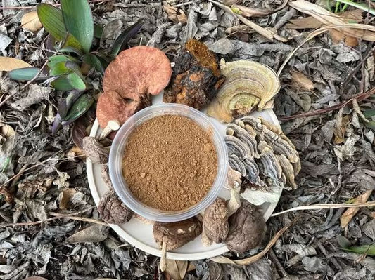 Alexander's Raw Cordyceps Mushroom Powder 10g