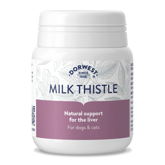 Dorwest Milk Thistle 100 tablets