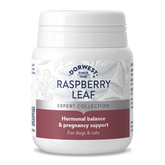 Dorwest Raspberry Leaf Tablets x 100