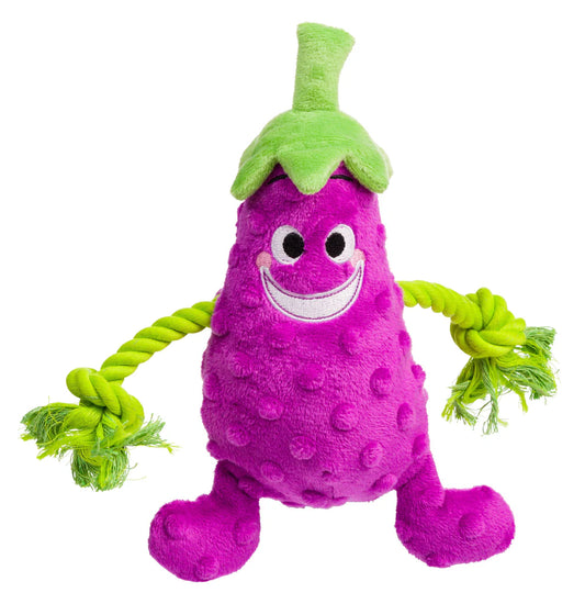 House of Paws Aubergine & Rope Toy