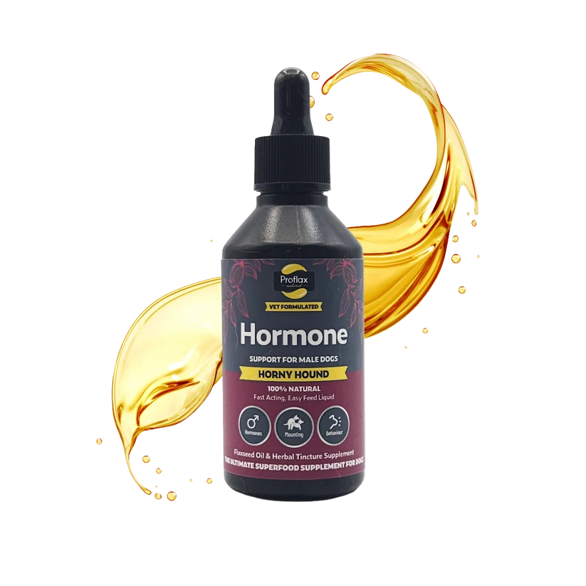 Proflax Hormone Balance for Male Dogs Horny Hound 100ml