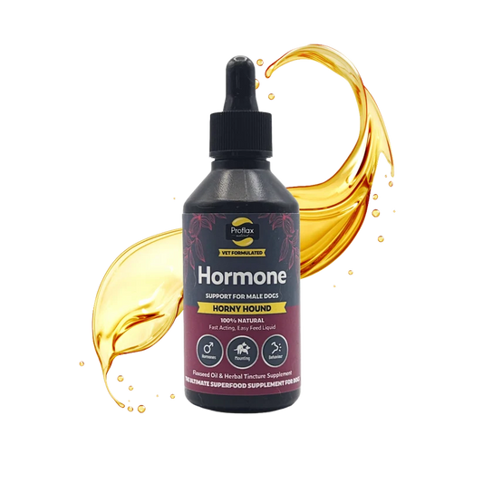 Proflax Hormone Balance for Male Dogs Horny Hound 100ml