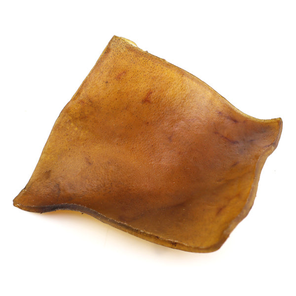 JR XL Camel Skin Plate