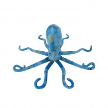 Phil the Kraken