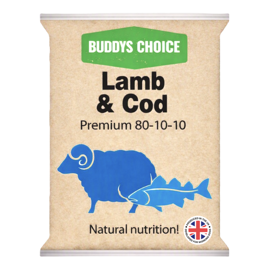 Albion Buddy's Choice Lamb & Cod 454g
