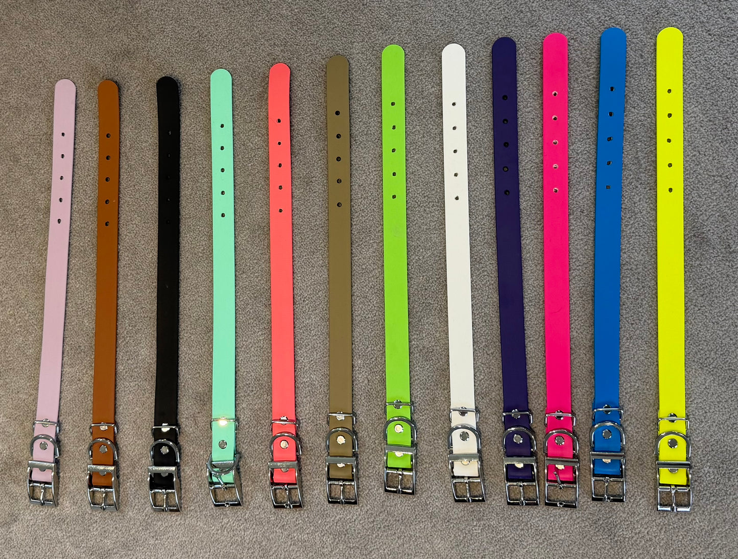Leashed Biothane Leads and Collars