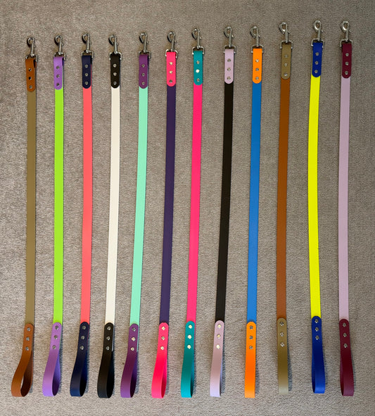 Leashed Biothane Leads and Collars