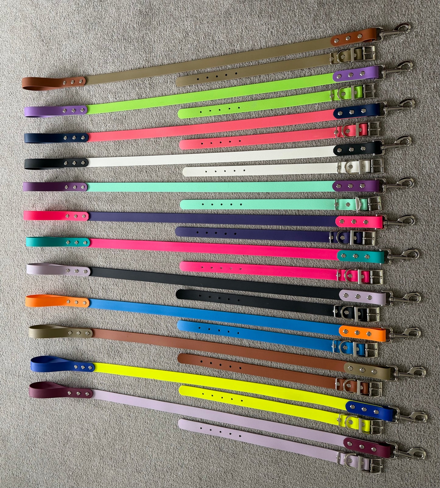 Leashed Biothane Leads and Collars