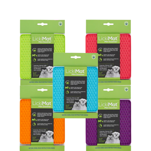 LickiMat Mini Soother