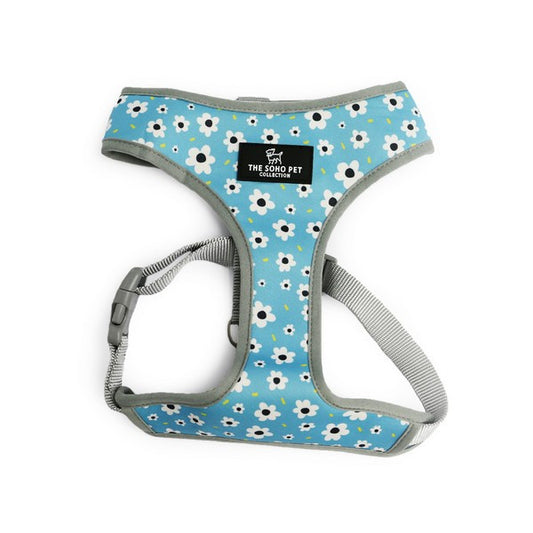 Ancol Soho Daisy/Polka Dot Harness