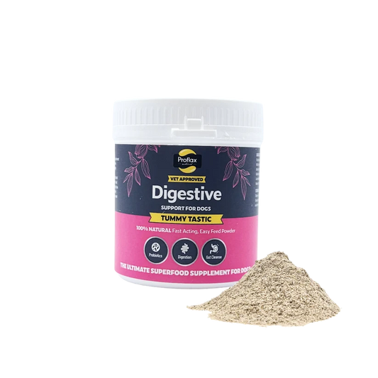 Proflax Pre & Probiotics Tummy Tastic 125g