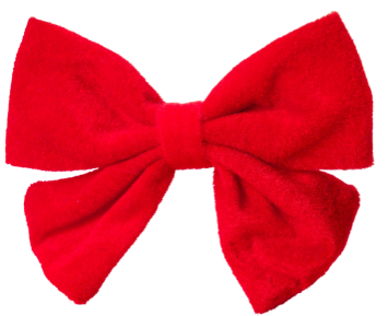 House of Paws Over sized Red Velvet Bow Tie for Dogs