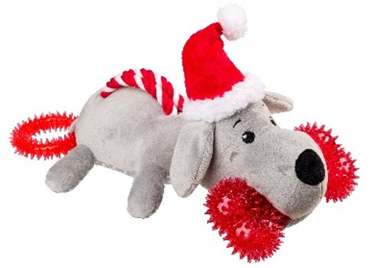 House of Paws Santa Paws
