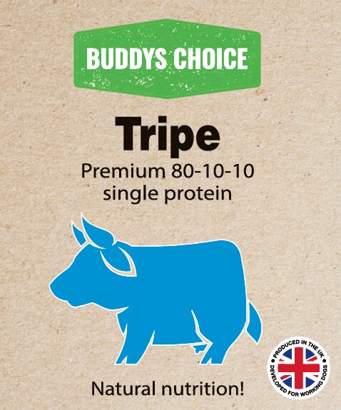 Albion Buddy's Choice Purely Tripe 80/10/10 454g